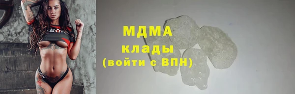 прущие грибы Каменск-Шахтинский