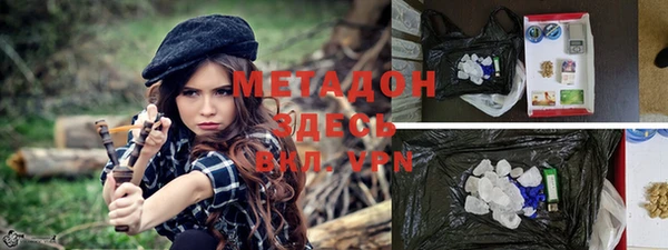 прущие грибы Каменск-Шахтинский