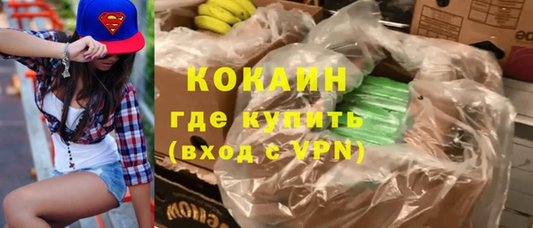 прущие грибы Каменск-Шахтинский