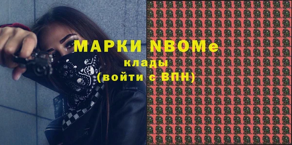 прущие грибы Каменск-Шахтинский