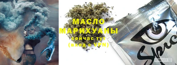 стаф Каменногорск