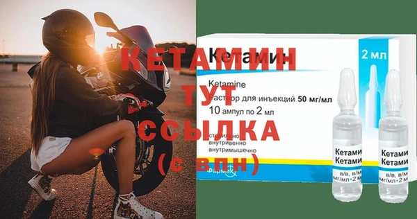 прущие грибы Каменск-Шахтинский