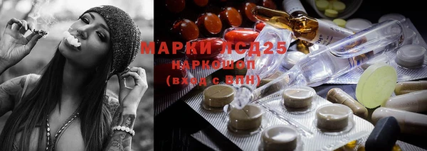 прущие грибы Каменск-Шахтинский