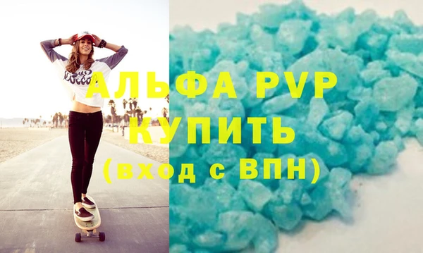 стаф Каменногорск