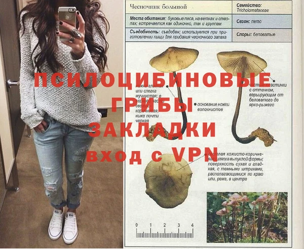 стаф Каменногорск