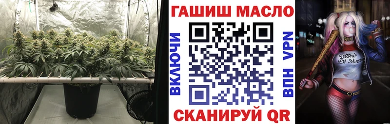 Купить закладки  Николаевск  Дистиллят ТГК Wax 