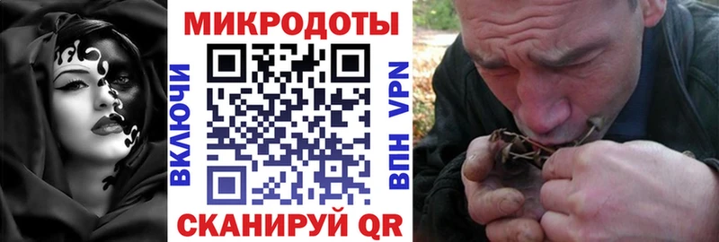 Галлюциногенные грибы GOLDEN TEACHER  Купить  Николаевск 