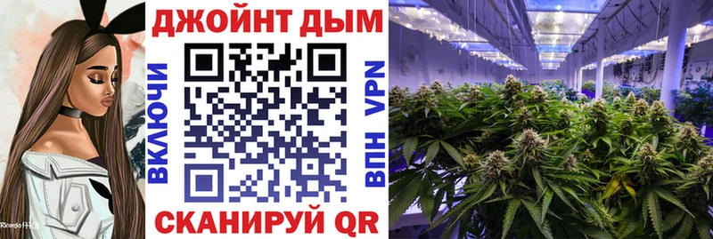 Купить закладки  Николаевск  Бошки марихуана VHQ 